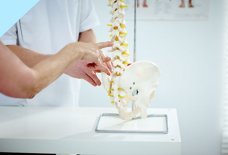 A patient and a doctor discussing an injury using a spinal model.