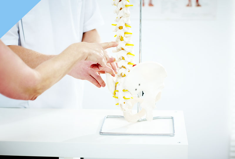 A patient and a doctor discussing an injury using a spinal model.
